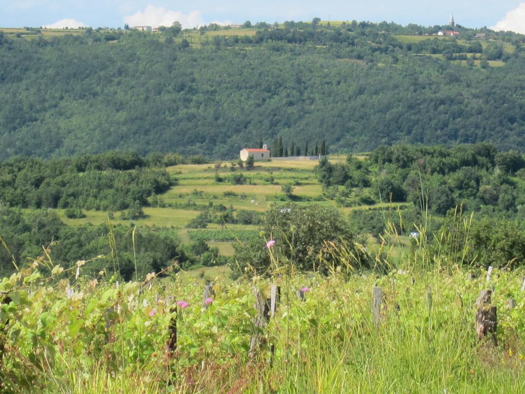 Willa Flori Adriatic Marezige Pokój zdjęcie